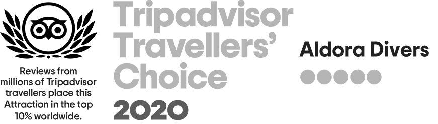 Trip Advisor Traveler's Choice