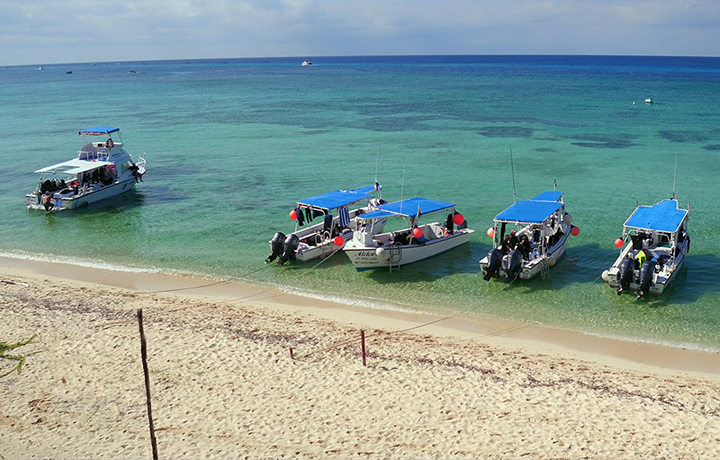 Aldora Divers Cozumel